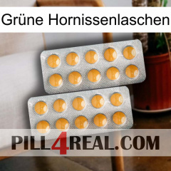 Grüne Hornissenlaschen levitra2